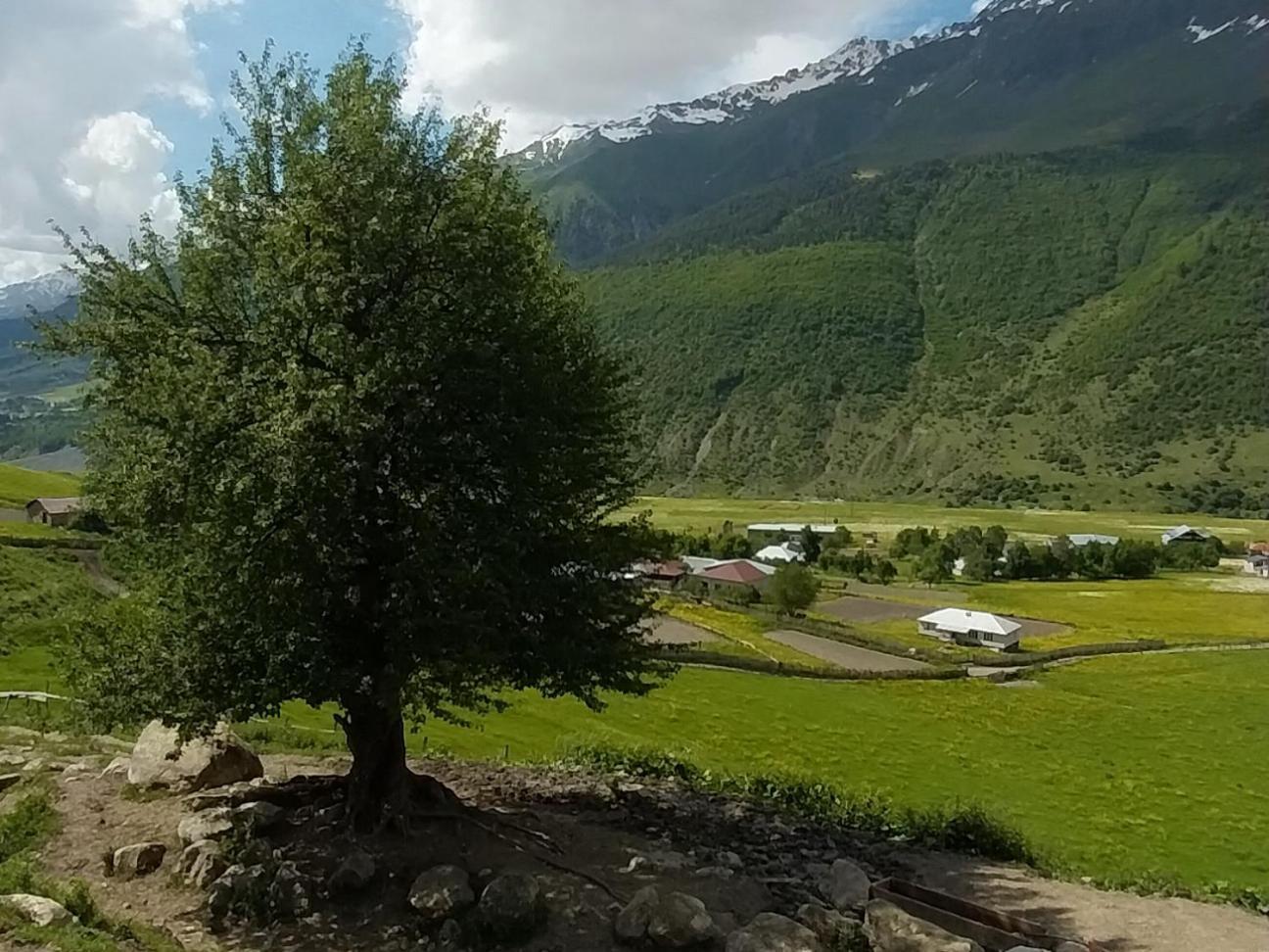 Guesthouse Leno Tsaldashi Exteriér fotografie